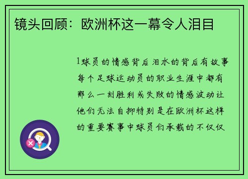 镜头回顾：欧洲杯这一幕令人泪目